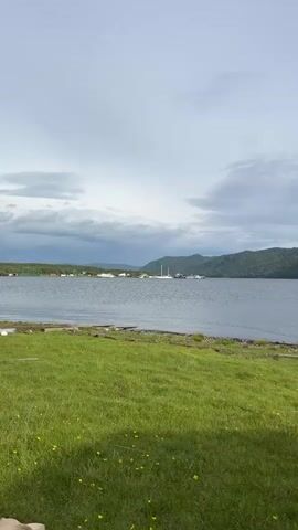 The video shows a wide shot of a calm lake with green hills in the background. In the foreground, there is a grassy area with some scattered yellow flowers. The sky is cloudy but bright. There are a few boats visible on the water in the distance. The overall impression is one of a peaceful, natural landscape.