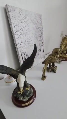 The video captures a panoramic scan of a room, starting with a close-up of decorative items on a white dresser. In the foreground is a statue of an eagle with black and white colouring, mounted on a dark wooden base. Behind it, a golden owl figurine stands next to a small golden human-like figure. A white canvas print featuring a winter forest scene with bare, white-covered tree branches leans against the wall behind these items.

As the camera pans right, a small golden cannon and another golden eagle figurine, both in gold, are seen on the white dresser. The pan continues to reveal a darker wooden dresser to the right, upon which a colourful rooster figurine is placed. Further along the dark dresser, a decorative bowl, a small black speaker, a red candle, and a globe are visible. A flat-screen television is mounted on the wall above the dresser, displaying a green landscape.

The scan concludes by showing a window with light-coloured curtains and a few potted plants on the windowsill. Next to the window stands a black exercise bike, with the brand "Reebok" clearly visible on its frame. The room features light grey wood-effect floor tiles. No people are present, and the scene depicts a static interior setting during what appears to be daytime.