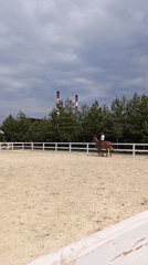 Equestrian training session observed in sandy arena