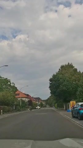 The video shows a view from inside a car driving down a tree-lined street in a residential area. The street is paved and has painted lane lines. On the left side of the street are houses with orange tile roofs and well-maintained gardens. On the right side, there is a row of hedges and trees, with a trash can visible near the curb. The sky is cloudy with patches of blue. A person and a black dog are walking on the sidewalk on the left side of the street. A white van and other cars are parked or driving on the street. The overall impression is of a quiet, suburban neighborhood on a cloudy day.