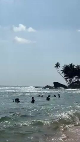 The video shows a beach scene with people swimming in the ocean.  There are approximately 10 people visible in the water, mostly dark silhouettes.  Waves are breaking near the shore and further out in the ocean.  Palm trees are visible on a small land formation to the right side of the frame.  The sky is light blue with scattered clouds.