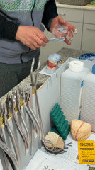 Dental lab work and street scenes documented in Sofia
