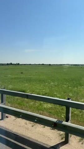 The video shows a view of a large, green field under a bright blue sky. The field is covered in lush grass and dotted with small white flowers. In the foreground, a metal guardrail runs horizontally across the bottom of the frame. The guardrail is typical of those found along roadsides, suggesting the video was taken from a moving vehicle, likely a car or bus, traveling along a road adjacent to the field. The sky is clear and appears to be cloudless, indicating fair weather. The sun is high, suggesting it is daytime, likely mid-morning or afternoon. The overall impression is one of a serene, open, and natural landscape. The video has no visible text. The location is identified as Orlovka, Russia.