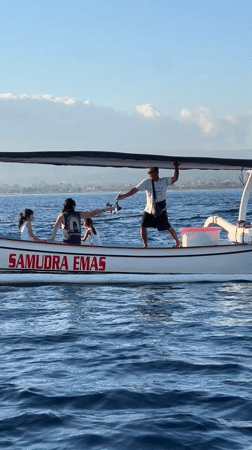 Dolphins, snorkeling, and fishing off Seririt's coast