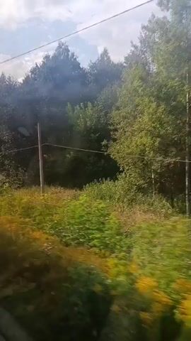 The video begins with a view out of a train window, showing a landscape of trees and vegetation. As the video progresses, the camera pans inside the train, revealing passengers sitting in their seats. The focus then shifts back to the view outside the window, capturing the scenery as the train moves along. The video ends with a continued view of the landscape from the train.