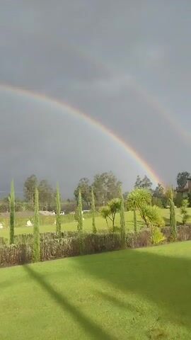 The video presents a scenic outdoor view with a prominent rainbow arcing across a dramatic, overcast sky. The camera pans slowly from right to left, revealing a verdant landscape.

In the foreground, a well-maintained green lawn is visible, with some areas appearing slightly damp. A row of tall, slender, cypress-like trees stands behind a lower, manicured hedge. Further back, the scene includes a variety of other trees and shrubs with rich green foliage, some resembling palms, and a larger coniferous tree on the left side of the frame.

As the camera pans, part of a house comes into view on the left, featuring a reddish-brown tiled roof and a distinctive arched wooden garage door. Utility poles and power lines are discernible in the background, suggesting a residential or semi-rural setting. The sky is largely covered with dark grey clouds, indicating recent or ongoing rain, which directly precedes the appearance of the vibrant rainbow.

The overall setting is a spacious garden or yard within a property. No people are visible, and there is no discernible text. The location context for this scene is La Merced, Ecuador.