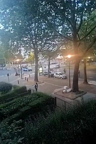 The video shows a street scene with trees on both sides. In the background, there are several police cars with flashing blue lights, and many motorcycles. People are seen walking on the sidewalk and crossing the street. One person is standing on the sidewalk and another is walking across the street. There are cars parked on the side of the road and a white car is driving. The scene appears to be an intersection with traffic lights. The lighting suggests it is either early morning or late evening.