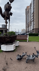 Spring morning scenes captured across Saint Petersburg parks and streets