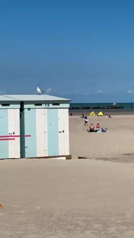 A vertical, medium shot captures a sunny beach scene under a clear blue sky. In the foreground, a pastel blue and white striped beach hut is positioned on the left, with a seagull perched on its roof. A colorful kite with orange and rainbow ribbons is visible in the lower left corner, with its strings held by an unseen person.

Further back, the sandy beach is dotted with a few people enjoying the day. To the right of the beach hut, two yellow beach tents are set up. Several individuals are scattered across the sand, some sitting, others lying down. A small group is gathered near the water's edge. In the distance, the ocean stretches out, with a distant boat sailing on the horizon.

Towards the right side of the frame, a long row of beach huts or changing rooms with a mural of marine life painted on them is visible. A sign with a red circle and a line through a symbol, possibly indicating a restriction, stands near a pathway. A family with a stroller is walking along this path, with two adults pushing the stroller and a child walking alongside. Another person walks past them to the right. The scene conveys a relaxed, summer atmosphere.
