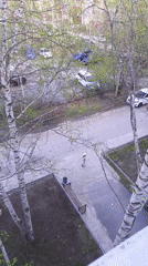 Person captures goldfinch in Nizhnevartovsk, Russia apartment building