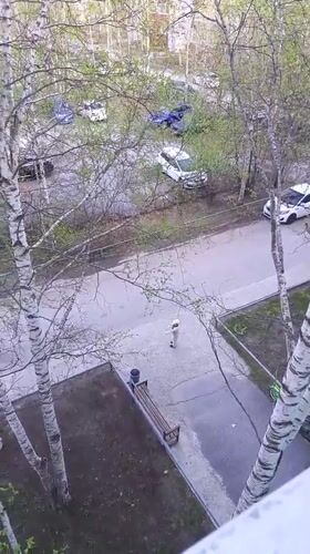 Person captures goldfinch in Nizhnevartovsk, Russia apartment building