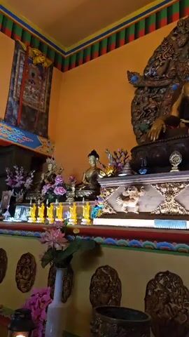 The video shows a shrine with multiple Buddha statues and offerings. The main focus is a large golden Buddha statue seated on an ornate base, with a decorative backdrop. To the left and right of the main statue are smaller Buddha figures. The shrine is adorned with artificial flowers, small yellow candles, and what appear to be prayer flags or banners along the walls and shelves. The environment seems to be an indoor religious space, possibly a temple or monastery, with warm-toned walls and colorful decorative trim. There are no people visible in the video.