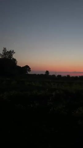 The video shows a wide shot of a rural landscape at dusk. The sky transitions from a pale blue at the top to a soft orange and pink band near the horizon, indicating the setting sun. In the foreground, dark green foliage, possibly crops or bushes, fills the bottom half of the frame, obscuring any ground detail. Silhouetted against the colorful sky are trees and a small, nondescript building, likely a shed or outhouse. The overall impression is one of peaceful twilight in a natural setting. No people or animals are visible.