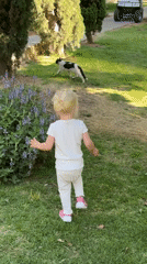 Toddler plays in Tel Aviv parks amid city skyline