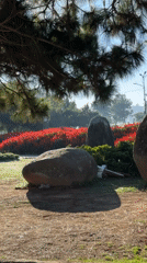Evening life captured across Da Lat's parks and lakeside