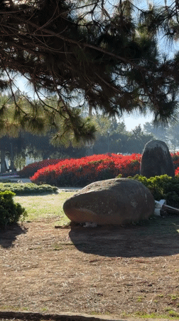 Evening life captured across Da Lat's parks and lakeside
