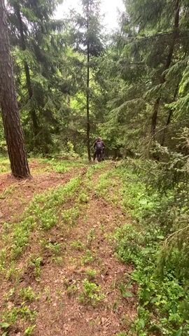 The video shows a person riding a dirt bike on a trail through a forest. The rider is wearing a helmet and riding gear. The trail is covered in leaves and vegetation. The forest is dense with tall trees. The camera is stationary and captures the rider moving away from the viewer.