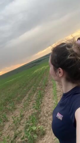 The video shows a field of young corn plants arranged in rows. A person's face and shoulder are visible in the foreground on the right side of the frame. The person is facing the field. The sky is cloudy with a visible sunset on the horizon. The camera appears to be handheld and moves slightly during the recording.