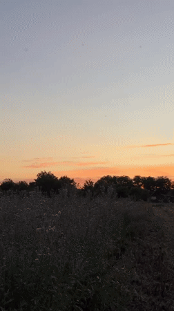 Sunset over rural Chervonosilske, warm sky, quiet fields