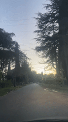Vehicle travels tree-lined coastal road in Amzara, Abkhazia