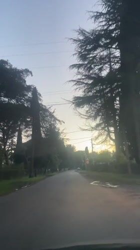 Vehicle travels tree-lined coastal road in Amzara, Abkhazia