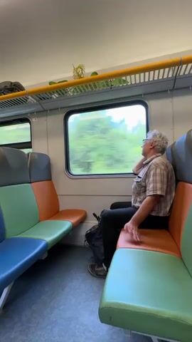 A person with gray hair and glasses, wearing a plaid shirt and dark pants, sits on a train seat looking out the window. The train car has colorful seats in blue, orange, and green. A plant is visible on a shelf above the window. The scenery outside the window is blurred, indicating the train is in motion. A backpack is placed on the floor next to the person.