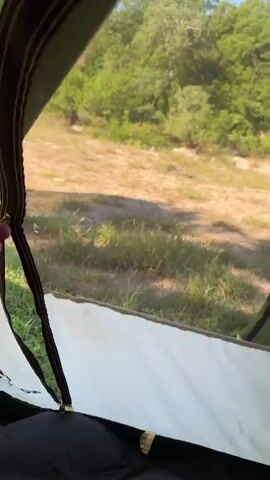 The video opens from inside a green tent, showing a person's arm zipping it closed. The camera then transitions to an outdoor view, revealing the tent partially in the foreground. The scene depicts a bright, sunny day with a clear blue sky. The ground is a mix of dry, light brown earth and green grass. In the background, there is a dense forest of lush green trees. A panning shot reveals a light blue-green river or stream flowing through the landscape, bordered by more trees and natural terrain. The overall setting is a serene outdoor environment, characteristic of a campsite by a river in Shirokaya Schel, Russia.