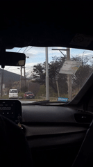 Dashboard cameras record routine traffic, dog passenger in Ushuaia
