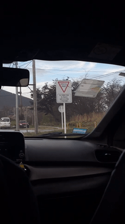 Dashboard cameras record routine traffic, dog passenger in Ushuaia