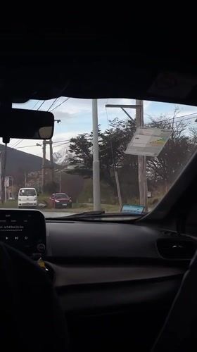Dashboard cameras record routine traffic, dog passenger in Ushuaia