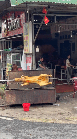 Early morning street life documented in Đà Lạt, Vietnam