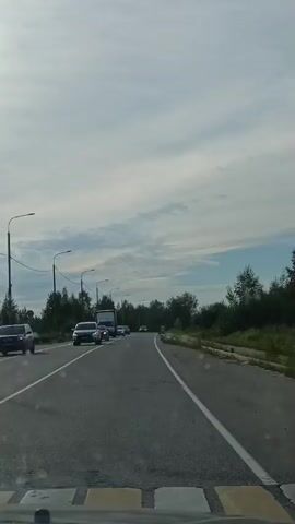 A dashcam view from a vehicle driving on a paved road on a cloudy day. Trees line the sides of the road, and a few other vehicles, including cars and a truck, are visible ahead. In the distance, several houses with chimneys can be seen. The video pans slightly to the right at one point, revealing more of the houses and vegetation.