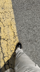 Routine activities captured in Hilliard: street walking, store shopping