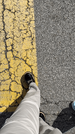 Routine activities captured in Hilliard: street walking, store shopping