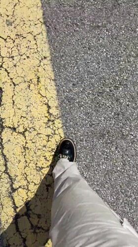 Routine activities captured in Hilliard: street walking, store shopping