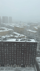 Domestic morning scenes captured including pet, bedroom, snowfall