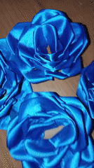 Blue satin roses documented on wooden surface in Venezuela