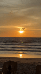 Bamboo swing at sunset on a Choeng Thale beach