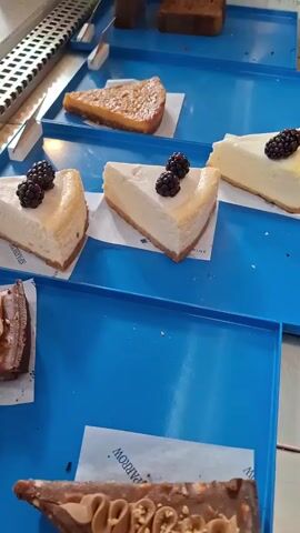 The camera pans across a display case of various pastries and desserts. Slices of cheesecake with blackberries, caramel-topped desserts, nutella-swirled pastries, and bite-sized squares covered in coconut flakes are on display. The pastries are arranged on bright blue trays, separated by white pieces of paper. The display case is stainless steel, and a patterned tile floor can be seen in the background.