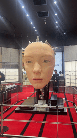 Large human head sculpture displayed in Sydney store