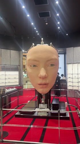 Large human head sculpture displayed in Sydney store