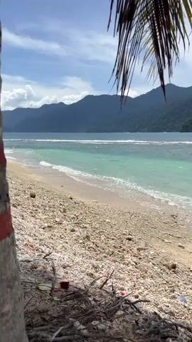 The video shows a tropical beach scene. The foreground consists of a shoreline covered in white coral fragments and some driftwood. A few pieces of red and white plastic litter are visible among the debris. Gentle waves are breaking on the shore. The ocean water is a clear turquoise color, transitioning to a deeper blue further out. In the background, lush green, tree-covered mountains rise from the sea. The sky is partly cloudy with patches of blue. Palm fronds hang into the frame from the top, suggesting the viewpoint is from under a palm tree. There are no people visible in the video. The camera appears to be stationary, offering a static view of the beach and seascape.
