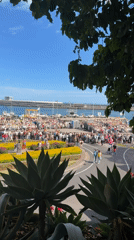 Routine afternoon scenes documented across central Funchal, Portugal