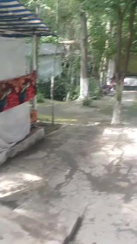 The video captures a serene outdoor seating area, likely in a garden or courtyard setting, with a distinctly Uzbek ambiance. Lush green trees provide a natural canopy, casting dappled sunlight on the ground, suggesting a pleasant, possibly warm day. The scene is dotted with traditional seating platforms, draped with richly patterned carpets, inviting relaxation.

Several structures, possibly open-air pavilions or small buildings, are visible in the background, offering shelter from the sun. They appear to be set up for communal gathering, with more seating and possibly tables. A prominent tree in the foreground, its trunk whitewashed, stands as a central element, with blue wiring and what appear to be light fixtures attached to it, indicating some level of utility or decoration. A green plastic bottle is also attached to this tree.

The overall mood is one of tranquility and simple comfort. The presence of carpets and the rustic architectural style strongly suggest a location in Central Asia, consistent with the provided location context of Avval', Uzbekistan. There are no people visibly present in the footage, focusing the viewer's attention on the environment and its potential for human interaction. The time of day appears to be daytime, given the sunlight and shadows. No explicit text is visible in the footage, although there might be very small, illegible text on a red and white sign on the tree.