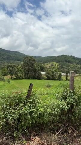 The video pans across a rural landscape. In the foreground, there is dense green foliage with some brown dirt and grass. Behind the foliage, there is a vibrant green field that appears to be a rice paddy, with water reflecting the cloudy sky. Further back, rolling hills covered in trees are visible, with some structures and greenhouses scattered on their slopes. The sky is filled with dramatic, white, and gray clouds. Power lines and utility poles run along the right side of the frame. The video appears to be shot from a moving vehicle, possibly a motorcycle, as a rearview mirror with a portion of a handle is visible in the bottom right corner. A road can be seen in the distance, with a white vehicle on it. The overall impression is of a lush, agricultural area with a mountainous backdrop under a dynamic sky.