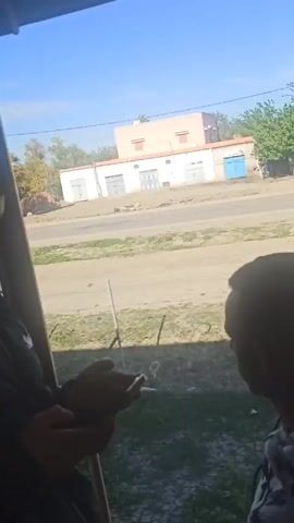 Two people stand inside a structure, looking out at a road. One person holds a mobile phone and appears to be using it. A white van with text on its side drives past on the road. The surrounding environment includes buildings, trees, and fields under a blue sky.