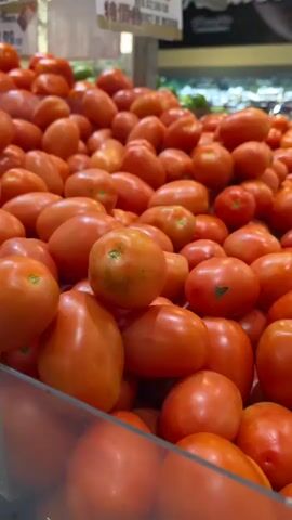 The video shows a close-up view of a large pile of Roma tomatoes in a grocery store. The tomatoes are bright red and appear to be fresh. In the background, a sign indicates that the tomatoes are on sale for $1.68 per pound. Other produce, such as green peppers, can be seen in the background. The lighting suggests an indoor environment, likely a produce aisle. The camera slowly pans across the pile of tomatoes, highlighting their texture and color.