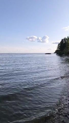 A vertical video shows a calm lake with gentle waves lapping against a rocky shore. The sky is clear blue with a few white clouds. Trees line the right side of the shore, and a small island or landmass is visible in the distance. The video appears to be filmed at eye level, looking out over the water.