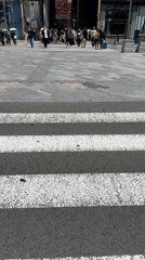 Early morning street activity documented across central Osaka districts