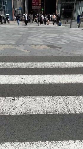 Early morning street activity documented across central Osaka districts